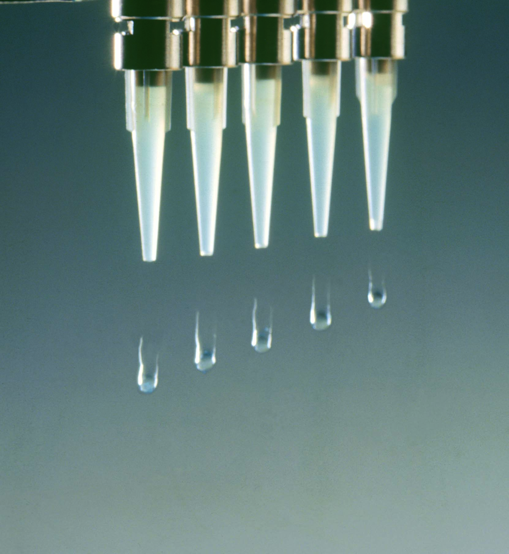 nozzles-ivek-close-up